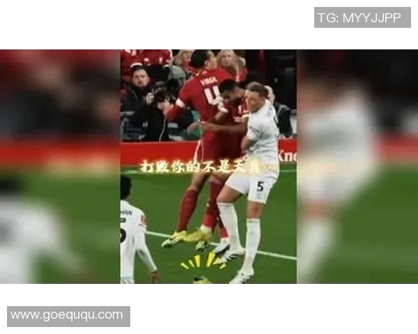 足球明星与球迷互动精彩瞬间回顾，感受激情与梦想的碰撞